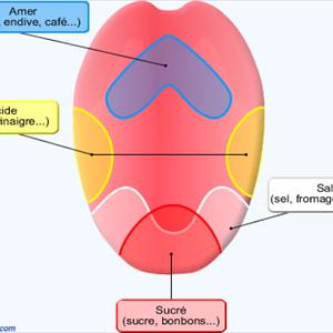 Uric Acid Flush - Colchicines, The Actual Favorite Medication In The Matter Of Gout Emergency